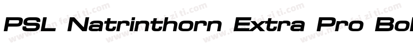 PSL Natrinthorn Extra Pro Bold Ital字体转换